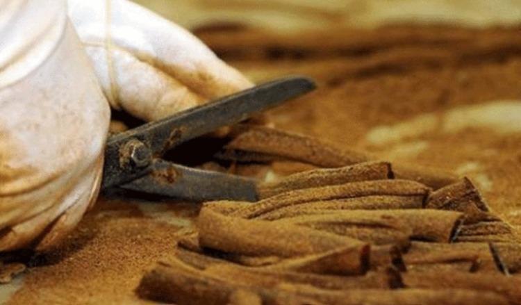 Günde 1 tane yedi 30 yıl boyunca grip olmadı Vücuda hastalık girmesine izin vermiyor...