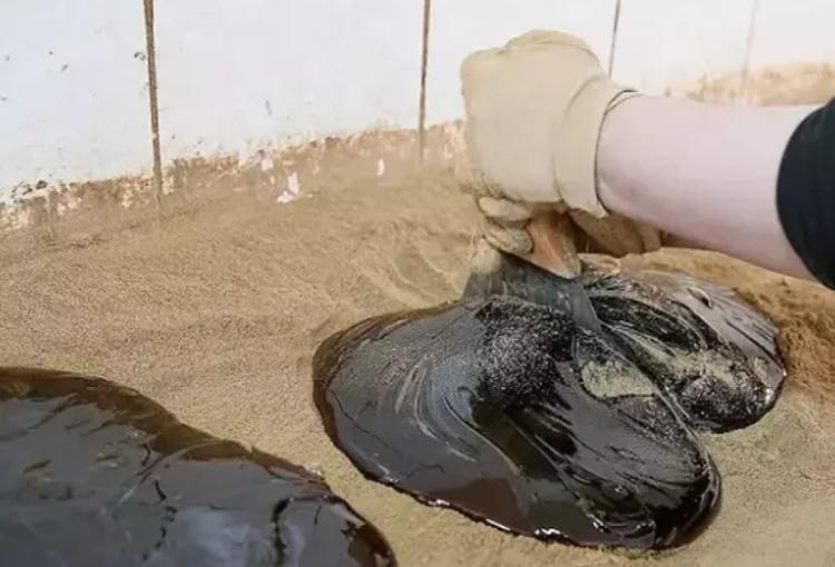 Günde 1 tane yedi 30 yıl boyunca grip olmadı Vücuda hastalık girmesine izin vermiyor...