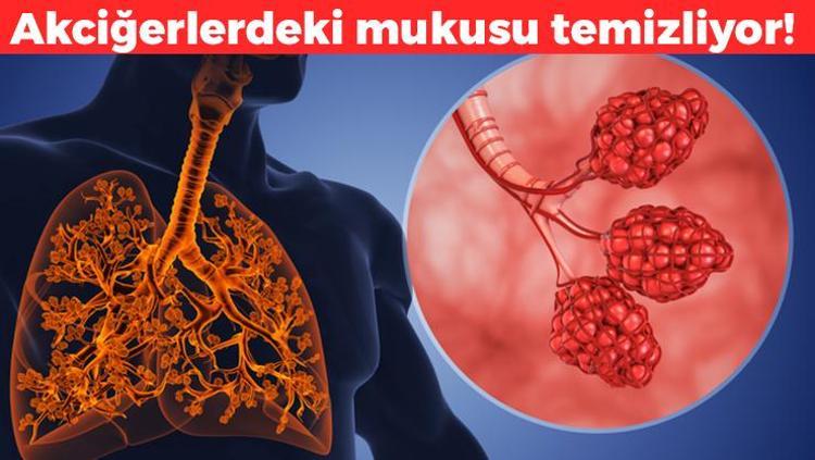 Akciğerlerdeki mukusu temizliyor Soğuk algınlığı, grip ve zatürrenin kökünü kurutuyor: Her sabah 1 bardak ılık suyun içine 1 kaşık ekleyip için
