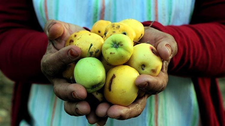 Akciğerlerdeki mukusu temizliyor Soğuk algınlığı, grip ve zatürrenin kökünü kurutuyor: Her sabah 1 bardak ılık suyun içine 1 kaşık ekleyip için