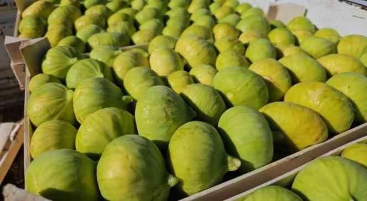 Kısık ateşte fokur fokur kaynatın Sabah akşam kaşık kaşık yiyin: Boğaz ağrısı ve gribin kökünü kurutuyor, kandaki şekeri dengeliyor