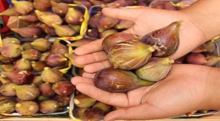 Kısık ateşte fokur fokur kaynatın Sabah akşam kaşık kaşık yiyin: Boğaz ağrısı ve gribin kökünü kurutuyor, kandaki şekeri dengeliyor
