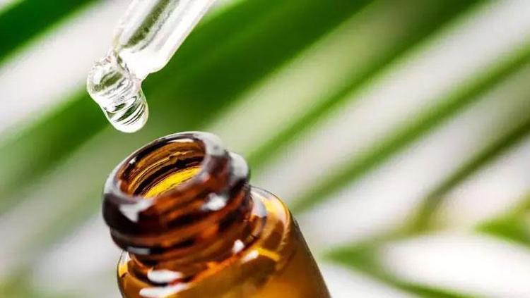 ÇAY AĞACI YAĞI İLE MASAJ