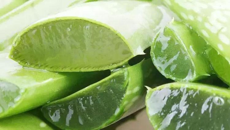 ALEO VERA İLE CİLT BAKIMI