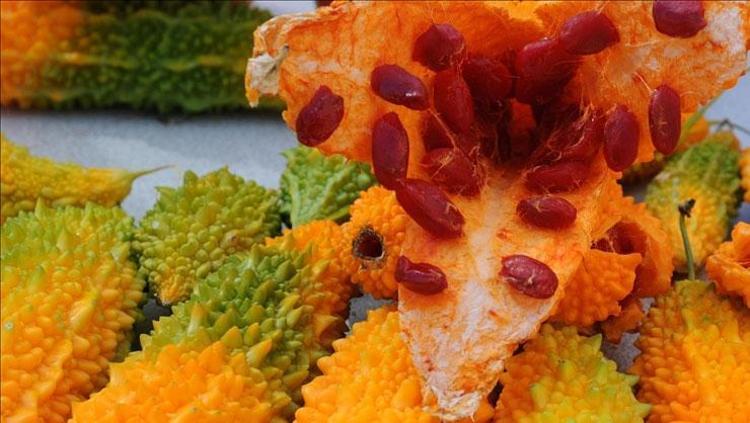 Gastrit ve ülseri rahatlatıyor Halk arasında acayip elma olarak biliniyor: Bağırsakları harıl harıl çalıştırıyor, doğal şeker ilacı