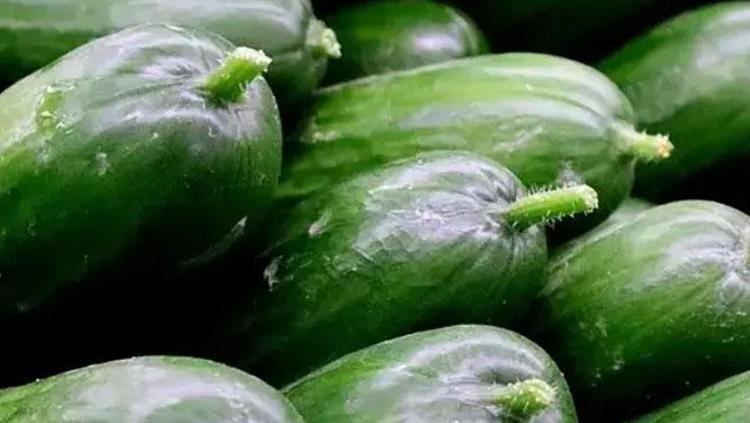 Karın yağlarının en büyük düşmanı Metabolizmayı ışık hızında çalıştırıyor: Vücutta fazla kilodan eser bırakmıyor, göbeği dümdüz yapıyor