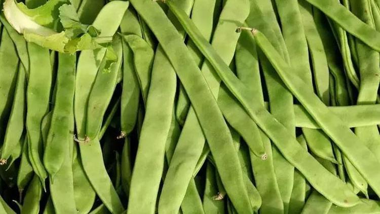 SİNDİRİM SİSTEMİNİ DÜZENLER