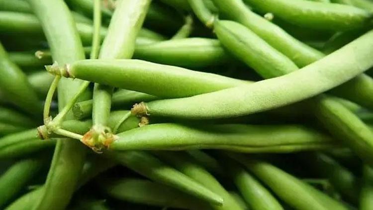 BAĞIŞIKLIK SİSTEMİNİ GÜÇLENDİRİR