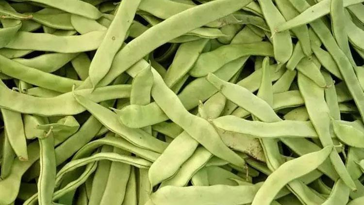 KİLO KONTROLÜNE YARDIMCI OLUR