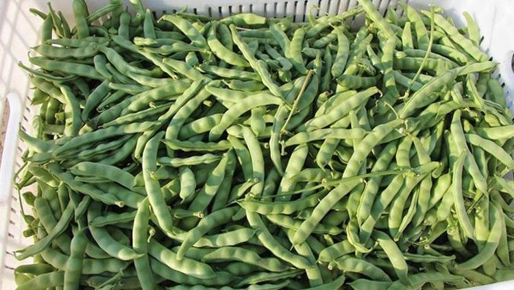 CİLT SAĞLIĞINI DESTEKLER