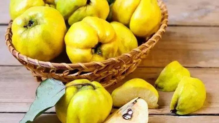BAĞIŞIKLIK SİSTEMİNİ GÜÇLENDİRİCİ: AYVA