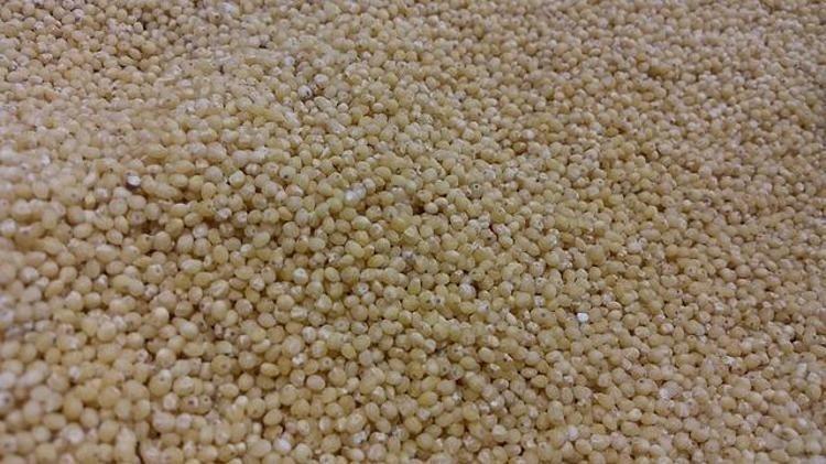 1 adeti 10 kutu magnezyum takviyesine bedel Gluten yok kolesterol düşmanı
