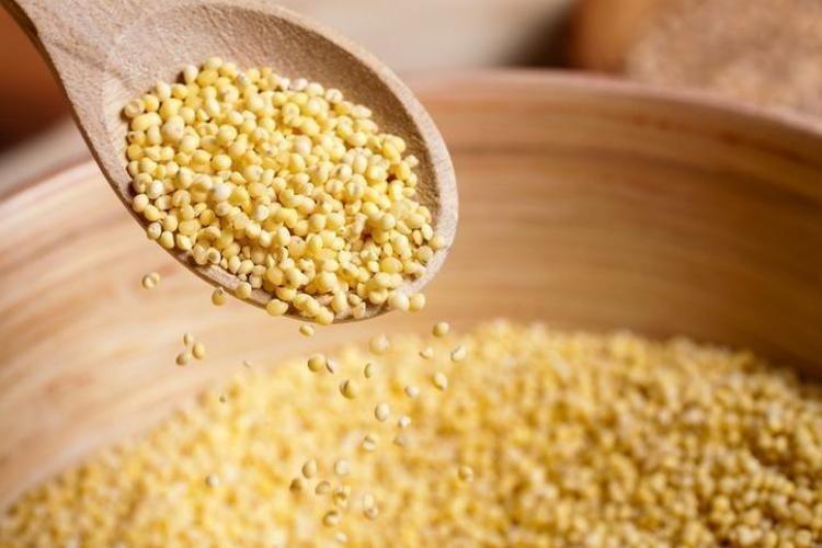 1 adeti 10 kutu magnezyum takviyesine bedel Gluten yok kolesterol düşmanı