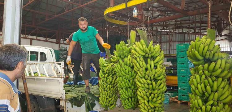 Potasyum deposu besinler listesinde ilk sırada Pişirince dokusu değişiyor