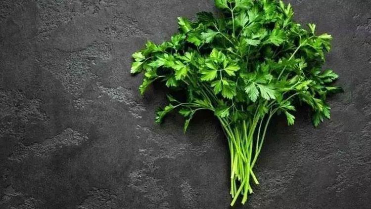 METABOLİZMAYI HIZLANDIRIR: MAYDANOZ SAPI