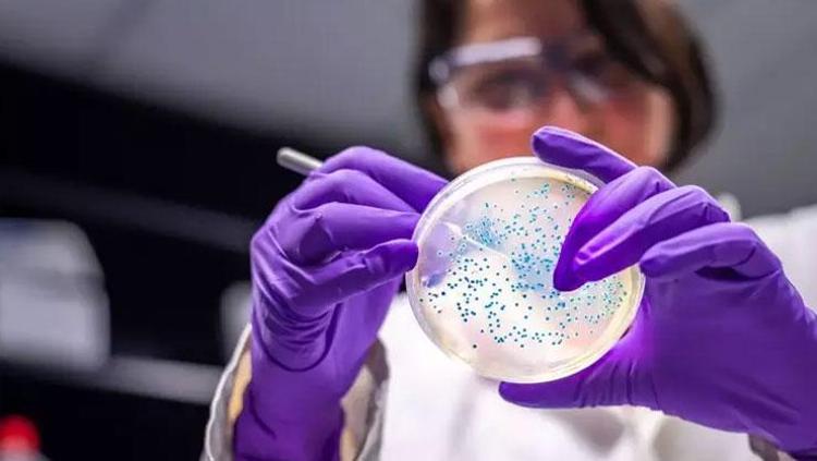 155 BİN VAKA ÖLÜMLE SONUÇLANIYOR