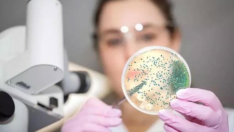 SALMONELLA NASIL BULAŞIR