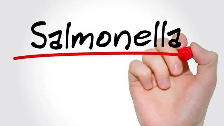 İzmirdeki ölümün ardından endişe büyüyor Yumurta ve kanatlı etler listenin ilk sırasında: Belirtiler dikkate alınmalı