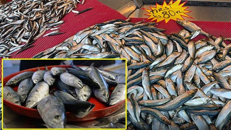 80 TLden kapış kapış satılıyor Mangal söndüren balık olarak da biliniyor: Omega ve B12 deposu