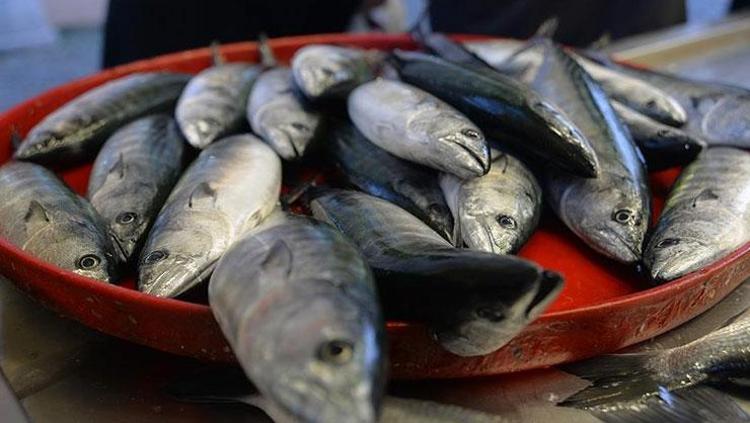 80 TLden kapış kapış satılıyor Mangal söndüren balık olarak da biliniyor: Omega ve B12 deposu