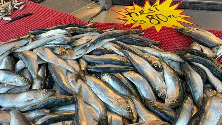 FİYATIYLA HER KESEYE UYGUN