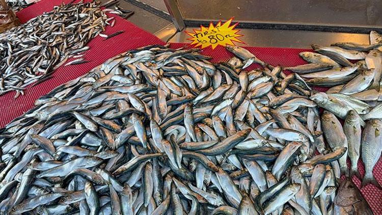 80 TLden kapış kapış satılıyor Mangal söndüren balık olarak da biliniyor: Omega ve B12 deposu