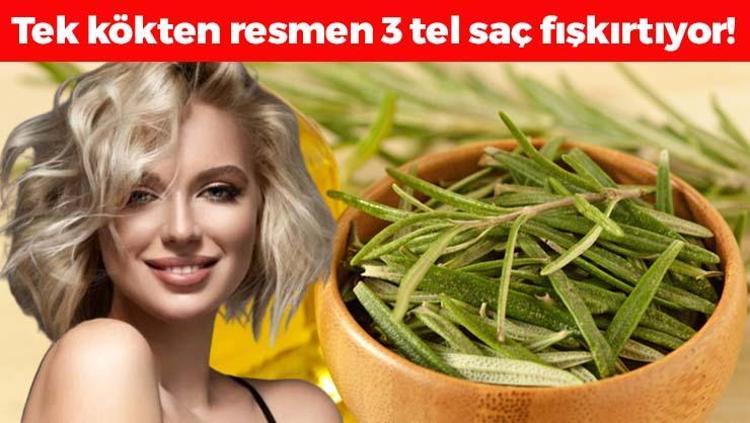 Saç köklerini resmen coşturuyor Kepek, kaşıntı ve mantarın kökünü kurutuyor, saçları 1 ayda 4 santim uzatıp köklerine bedava vitamin yüklüyor