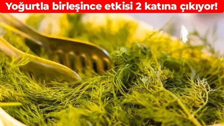 Karaciğerdeki toksinleri söküp atıyor Yoğurtla karıştırıp yiyin: Solunum yollarını vakum gibi açıyor, böbrek taşı oluşumunu engelliyor