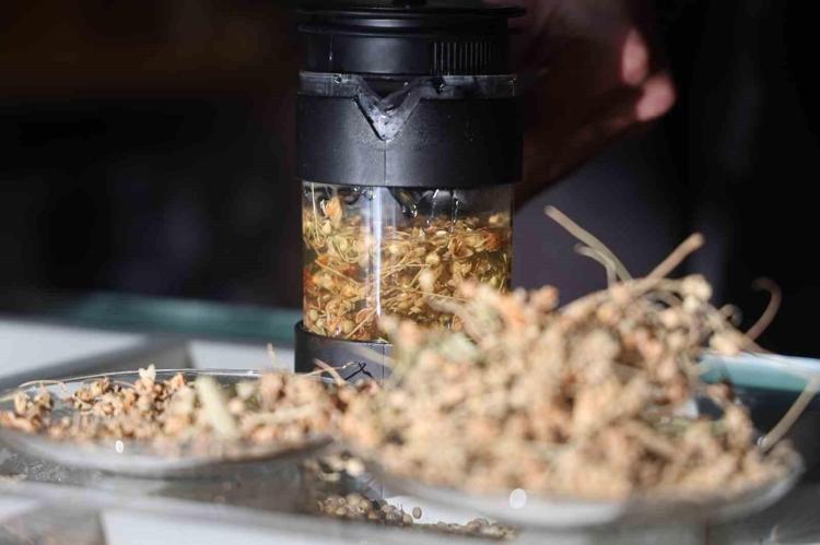 BAĞIŞIKLIK SİSTEMİNİ GÜÇLENDİRİYOR