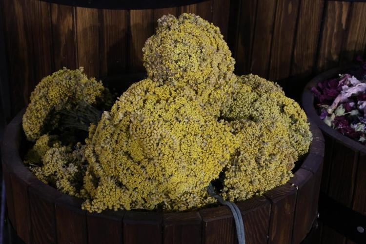 UYDU DÜZENİNİ KORUYOR