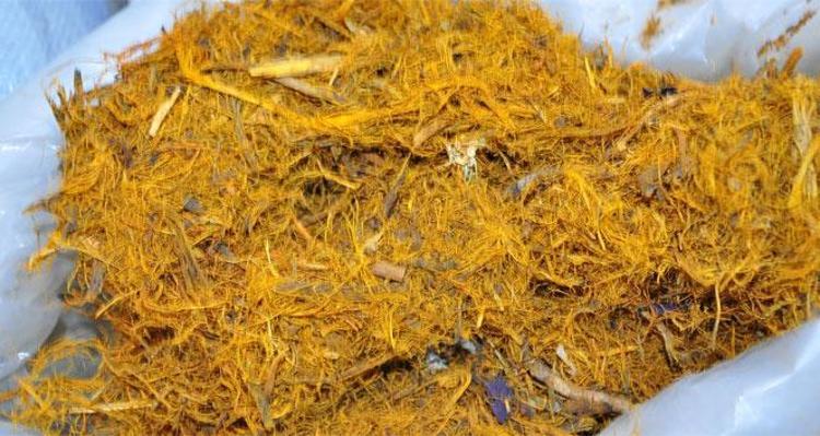 Balon gibi şişmiş bademcikleri iyileştiriyor Şifalı bitki 70 derdin devası: Boğaz ağrısını şıp diye kesiyor