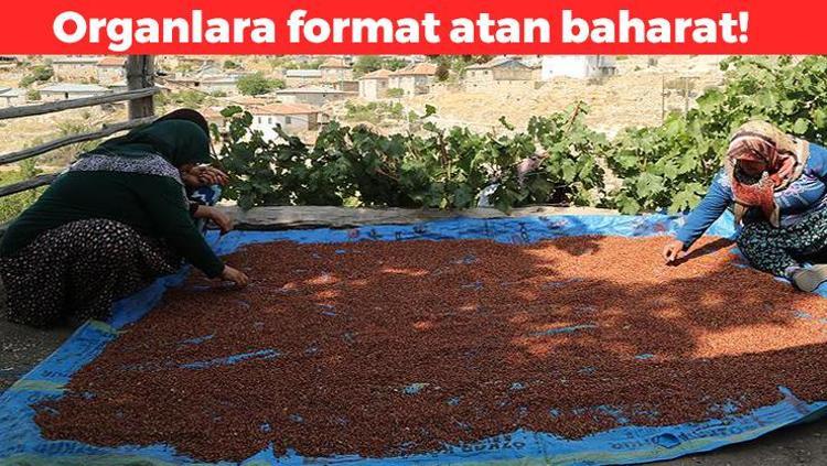 Padişahların gözbebeği Kan şekerini dengeliyor: Safra kesesi ve karaciğerdeki toksinleri atıyor, ılık suya karıştırıp için