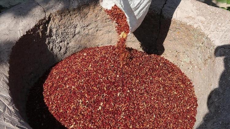 Padişahların gözbebeği Kan şekerini dengeliyor: Safra kesesi ve karaciğerdeki toksinleri atıyor, ılık suya karıştırıp için