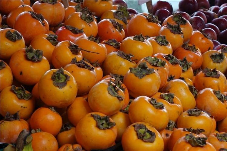 CENNET HURMASININ FAYDALARI NELERDİR