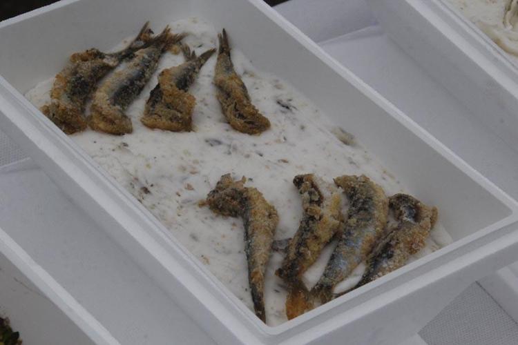 Orduda inanılmaz rekor denemesi Guinness Rekorlar Kitabına 1301 çeşit dondurma ile girdi