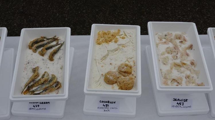 Orduda inanılmaz rekor denemesi Guinness Rekorlar Kitabına 1301 çeşit dondurma ile girdi