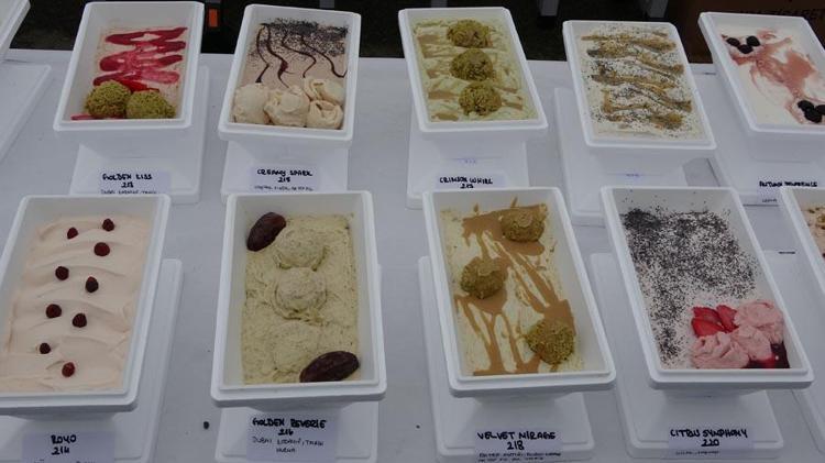 Orduda inanılmaz rekor denemesi Guinness Rekorlar Kitabına 1301 çeşit dondurma ile girdi