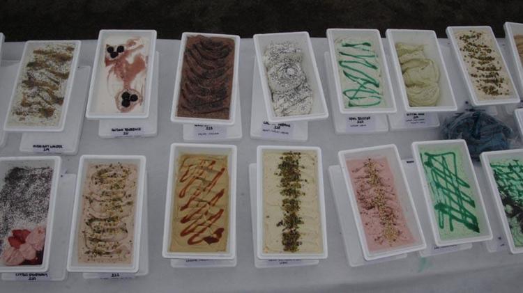 Rekoru kıracağımı bekliyordum