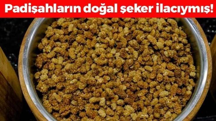 Tıkalı damarları yağ çözücü gibi açıyor, insülin direncini anında kırıyor Doğal şeker ilacı, egzamanın en kesin çaresiymiş