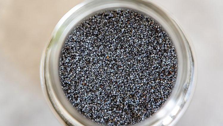 Chia tohumunu yıllarca yanlış yemişiz Metabolizmayı makine gibi çalıştırıyor: Kemik ve kasları taş gibi yapıyor, kabızlık derdini bitiriyor