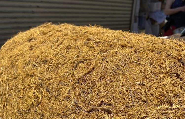 MEYAN KÖKÜNÜN FAYDALARI NELERDİR