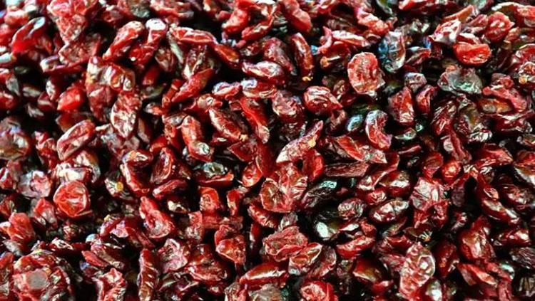 METABOLİZMAYI HIZLANDIRIR