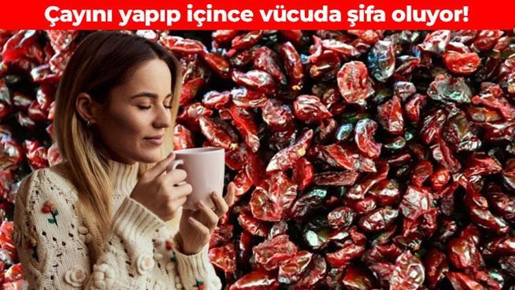 Doğanın C vitamini kaynağı Çayını yapıp için: Kışın tüketen hastalık uğramıyor, şifa arayan dalından topluyor