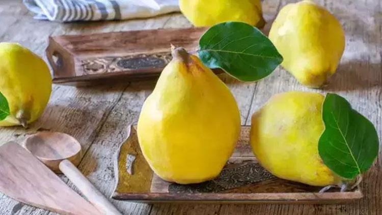 BAĞIŞIKLIK SİSTEMİNİ TAŞ GİBİ YAPIYOR: AYVA