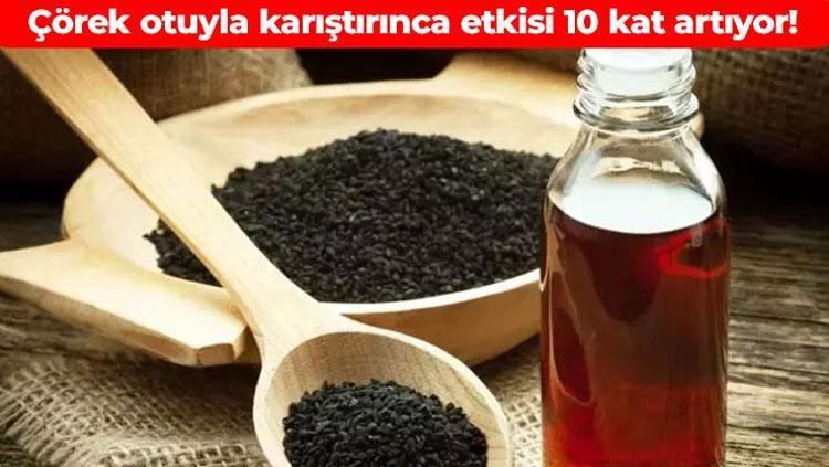 Çörek otuyla karıştırıp yiyin Vücudu zıpkın gibi yapıyor: Hastalığın adını unutturuyor, iltihabın kökünü kurutuyor