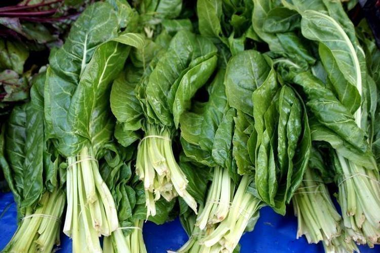 KANSIZLIĞI VE DEMİR EKSİKLİĞİNİ BİTİRİYOR