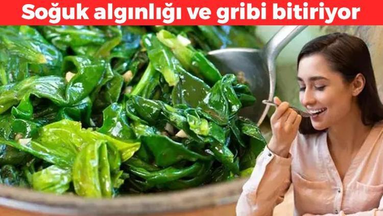 B12 değerlerini tavan yaptırıyor Bağırsakları harıl harıl çalıştırıyor: Damarları hortum gibi açıyor, insülini baskılayıp kan şekerini dengeliyor