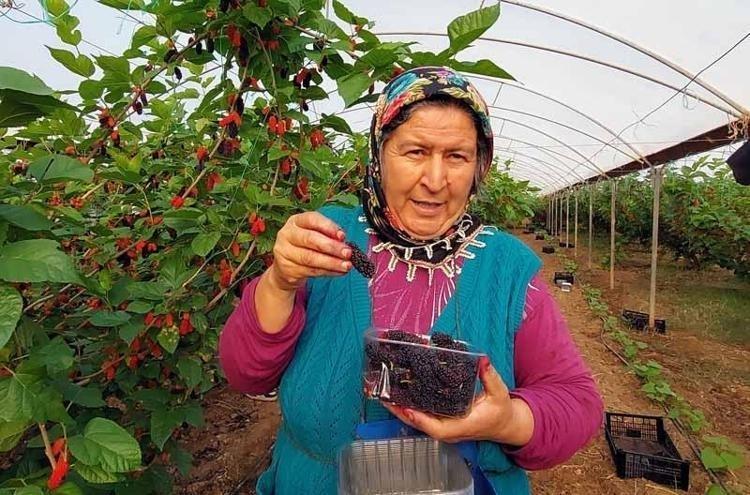 ANTİOKSİDAN DEPOSUDUR