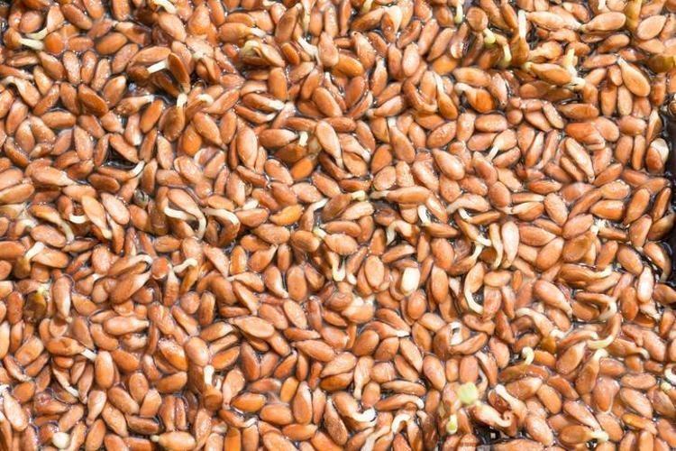 BAĞIŞIKLIK DOSTU DOĞAL İLAÇ
