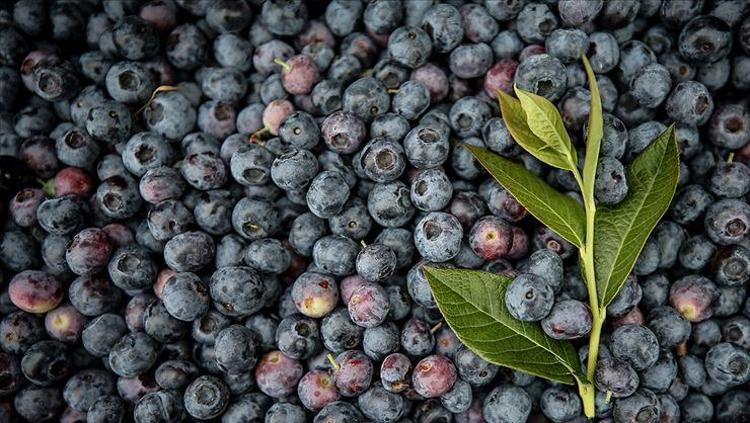 Gördüğünüz yerde satın alın 1 porsiyon yemek kanserden koruyor: Tıkalı kalp damarlarını açıyor, kan şekerini anında dengeliyor